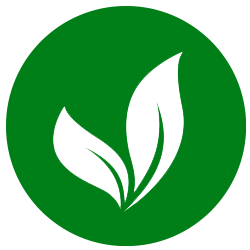 Recepten vegetarisch