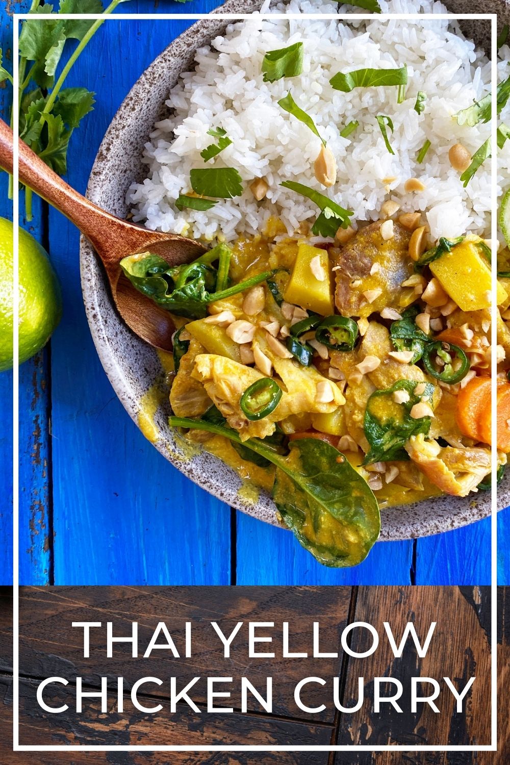 THAI YELLOW CHICKEN CURRY